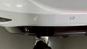 Открытие/закрытие багажника взмахом ноги AUDI A6 C9 / A5 B10. VAG-UPGRADE.RU