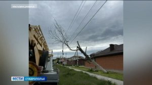 На Ставрополье ветер валит деревья