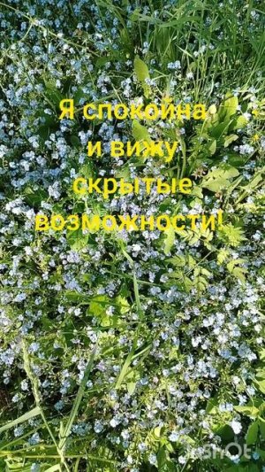 Где я ежедневно предаю себя?