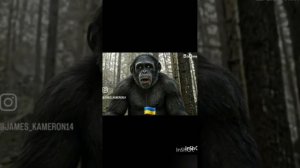 МИР ВИДЕО ДЛЯ ГЛУХИХ 26 МАЯ 3ЧАСТЬ 👍