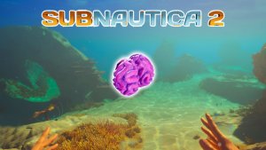Где найти МЕШОК РАЙОНЕ КИСЛОТОГЕННОГО в Subnautica 2
