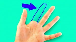 28 самых потрясающих фокусов, которые может сделать каждый