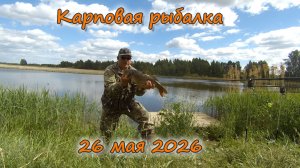 Карповая рыбалка 26 мая 2026