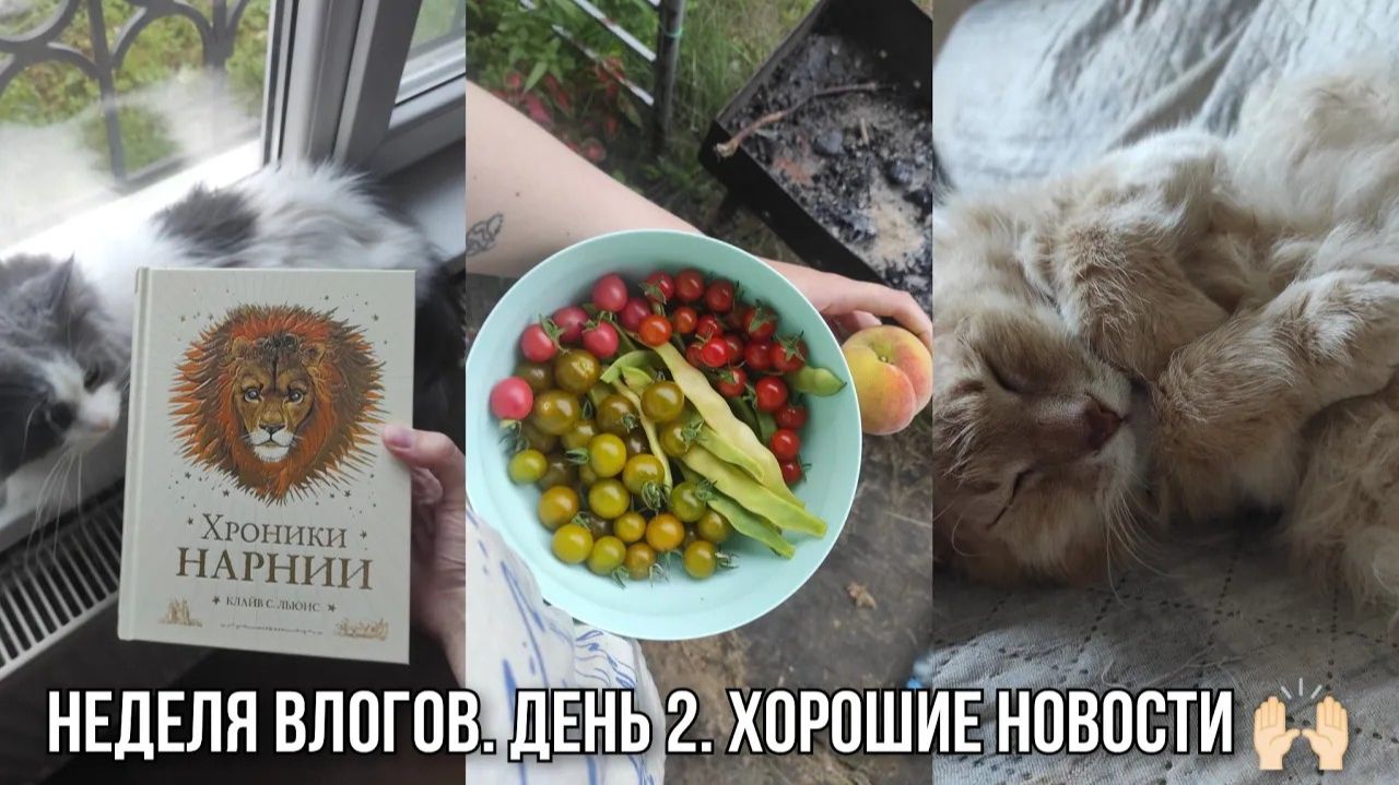 АРХИВ 2025 L Vlog: вернула долг | долгожданная покупка | 17.08.2025