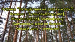 Рубрика «Путешествия на работу хобби»! Локации - Тулиновка(пруд,лес), Мичуринск(сад),Тамбов(парк)