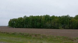Алтайский край Первомайский район 🌳🌳🤩
