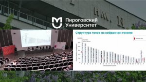 Платиновый геном в БТК - Дмитрий Мелешко