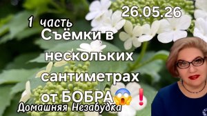 1 часть. Съёмки в нескольких сантиметрах от БОБРА😱❗️