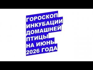 Когда закладывать яйца в июне 2026? Календарь инкубации