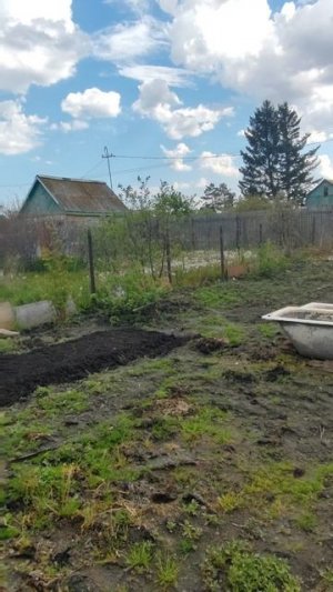 Хотелось поработать