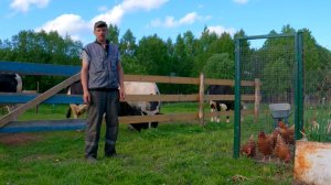 Уличная кормушка для коров из ничего, дела в огороде / Мотоблок Нева: первый покос и опять ремонт?
