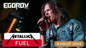 EGOROV (Евгений Егоров), Fuel (Metallica cover). «Музыкальные сокровища 90-х». Live