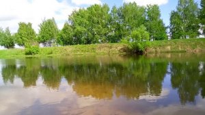 река Красивая меча в районе улицы Дачной город Ефремов