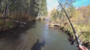 Таёжная Рыбалка Осенью_ ХАРИУС КАТИТЬСЯ С ЛИСТОМ_ Вода белёсая на РЕЧКЕ _ Хариус Берёт ИЗ ПОД Коряг!