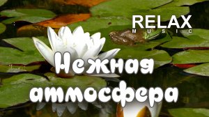 🎷 RELAX | МУЗЫКА ДЛЯ ДУШИ И УЮТА — РОМАНТИЧНЫЙ ДЖАЗ, САКСОФОН И НЕЖНАЯ АТМОСФЕРА ПРИРОДЫ