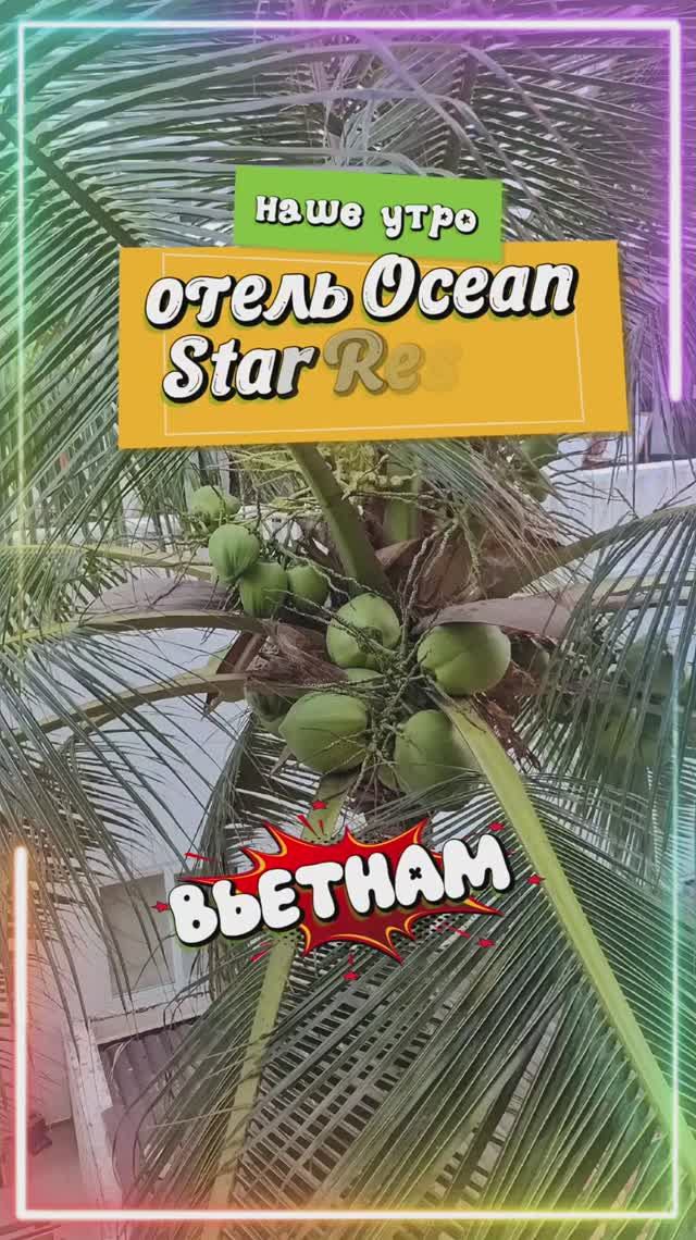 НАШ ЗАВТРАК В ОТЕЛЕ