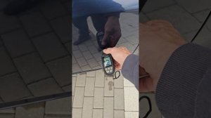 киа сид