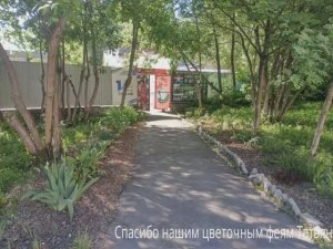 Городские цветы. Спасибо нашим цветочным феям.