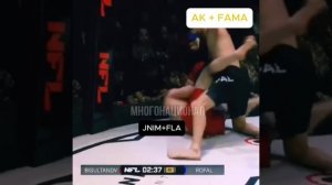 JNIM+FLA vs АК+FAMa