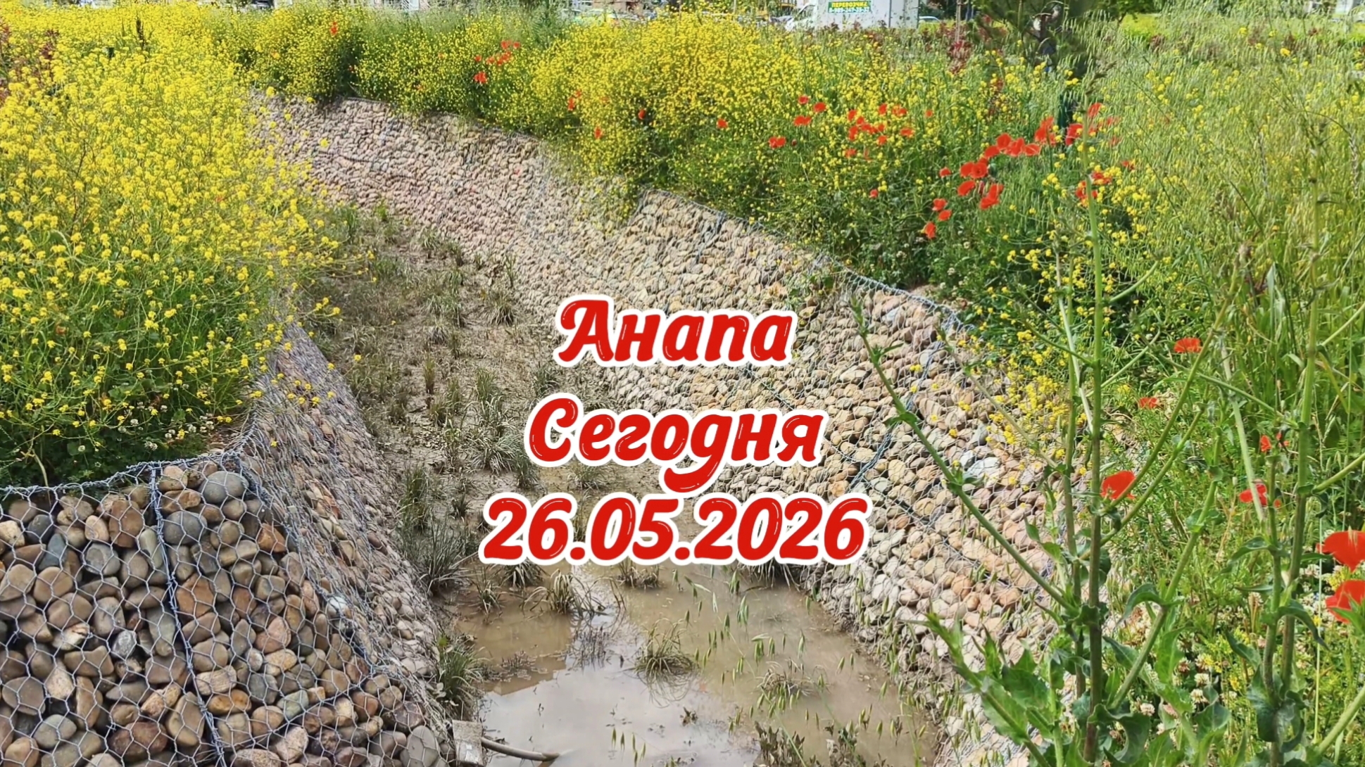 Анапа Сегодня 26.05.2026 смотреть онлайн