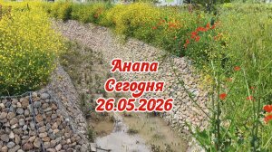 Анапа Сегодня 26.05.2026
