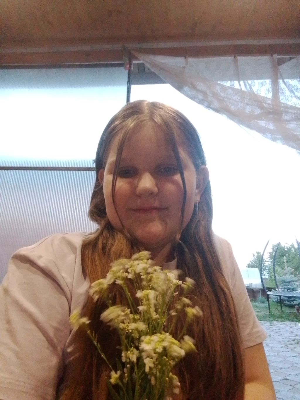 пр смотреть онлайн