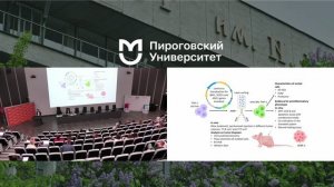 Генетическая модификация макрофагов как способ модуляции их фенотипа- Полина Александровна Вишнякова