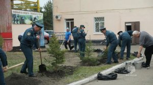 Сотрудники МЧС Приамурья заложили аллею «Ветеранов-спортсменов»