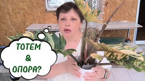 🥰 ТОТЕМ ДЛЯ РАСТЕНИЙ ЛЮБОГО РАЗМЕРА! 🥰 ТОТЕМ или ОПОРА это вопрос!