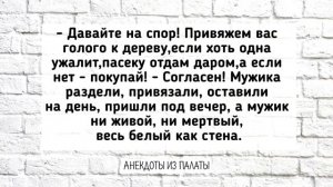 Отличная_Подборка_Анекдотов!_Лучшие_Весёлые_АНЕКДОТЫ_для_Настроения!