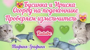 Бусинка и Ириска/Огород на подоконнике, от посадки до 1 урожая/Проверяем измельчитель,из распаковки.