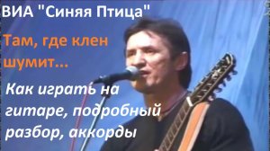 Как играть на гитаре песню КЛЕН ВИА «Синяя Птица». Подробный разбор, аккорды, вступление.