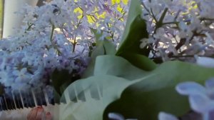 Прости, прощай - гр. Шоколад (композитор М. Исхаков), на синтезаторе