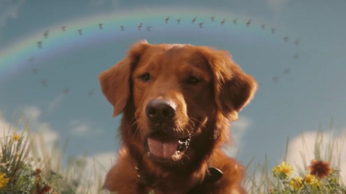 Dog Musical