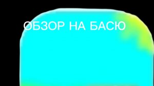ОБЗОР НА БАСЮ