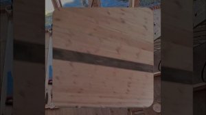1000059948.mp4 (Собака наблюдает за устройством лестницы на 2-ой этаж в доме А-фрейм)