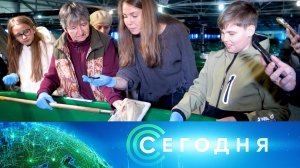 «Сегодня»: 26 мая 2026 года. 13:00 | Выпуск новостей | Новости НТВ
