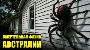 АВСТРАЛИЯ ХОЧЕТ ТЕБЯ УБИТЬ! 🚫 13 Смертоносных Тварей Континента!