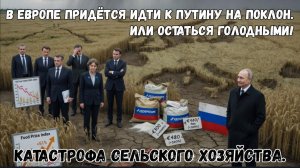 Европа без российских удобрений: что будет с урожаем и ценами на продукты.