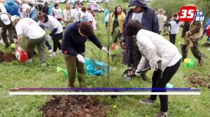 Масштабный геоглиф в виде пятиконечной звезды создали на Вологодчине в честь 81-летия Великой Победы