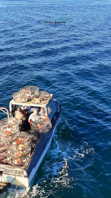 🦀🚁 Полет с DJI  за рыбаками, добывающими краба Данженесс, в водах Тихоокеанского Северо-Запада.