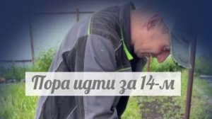 Ждём ещё сюрпризов
