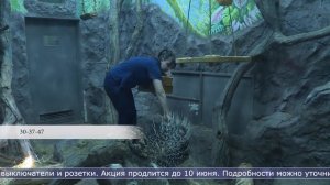 25.05.2026 Дайджест