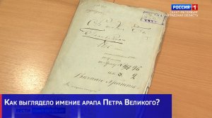 Как выглядело имение арапа Петра Великого?