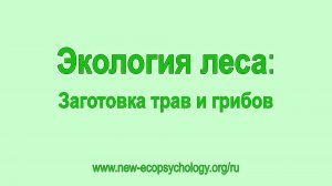 ЗАГОТОВКА ТРАВ И ГРИБОВ. Владимир Антонов. (Rem_2k)