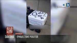 Тестовые испытания роботов‑доставщиков стартовали в Краснодаре