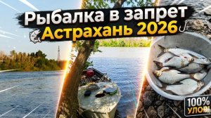 Рыбалка в запрет Астрахань май 2026