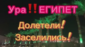 Ураа! Долетели! Заселились! Египет 2026 май Отель SAFIR CHARM 5*