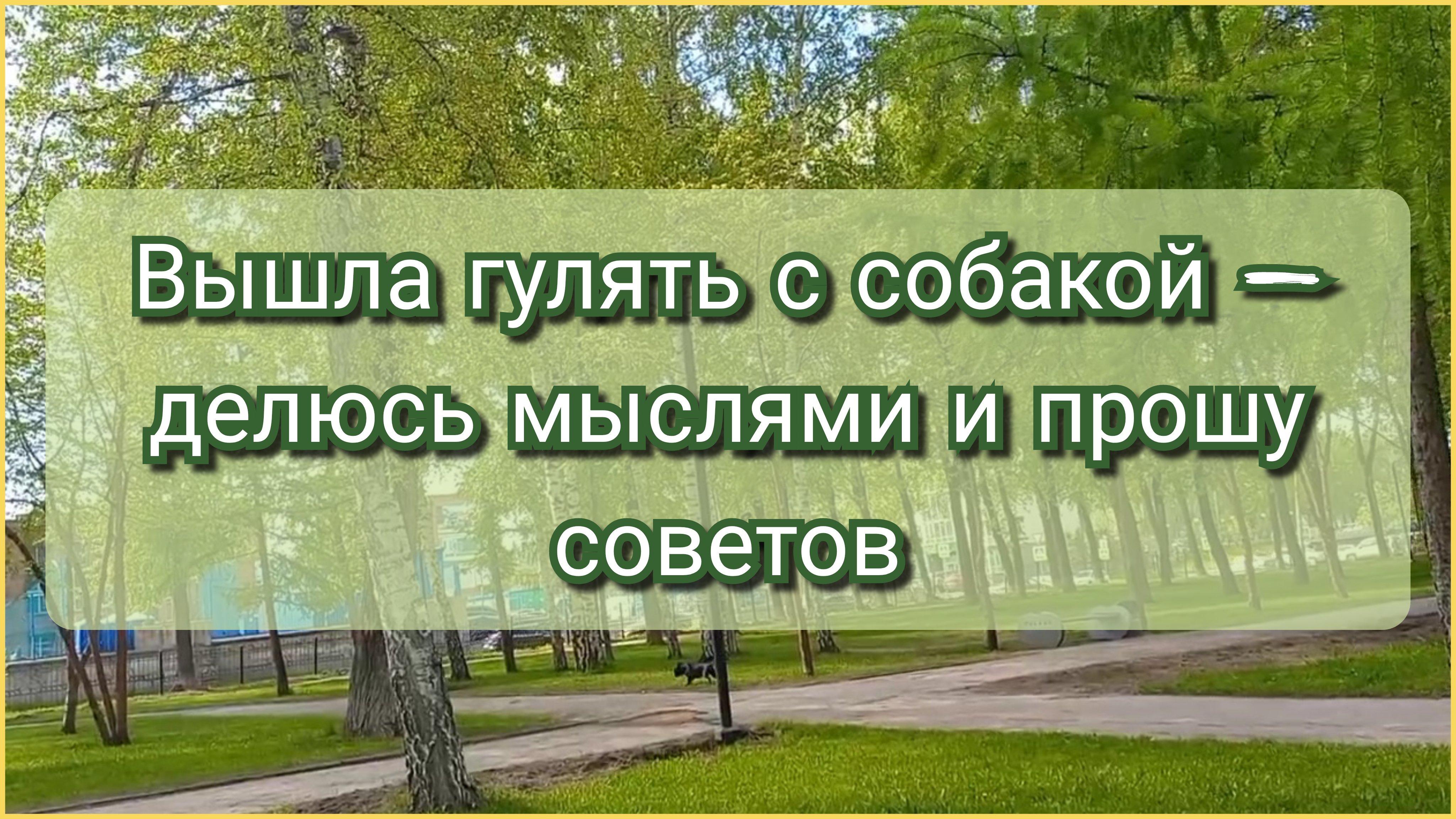 Вышла гулять с собакой — делюсь мыслями и прошу советов