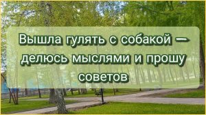 Вышла гулять с собакой — делюсь мыслями и прошу советов